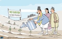 Afforestation in Sudurpaschim: Millions Planted, Almost None Protected
