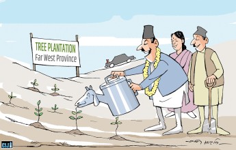 Afforestation in Sudurpaschim: Millions Planted, Almost None Protected