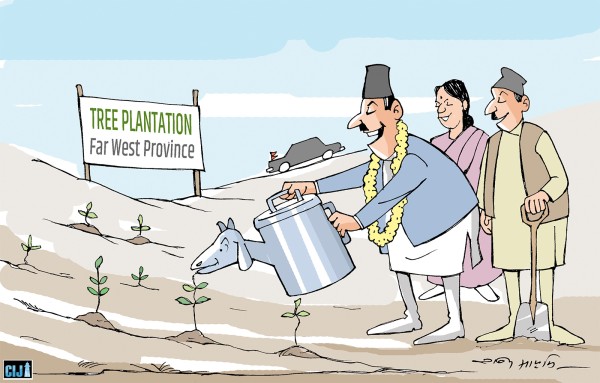 Afforestation in Sudurpaschim: Millions Planted, Almost None Protected