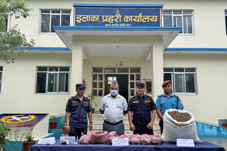 The Orchid Smuggling Route