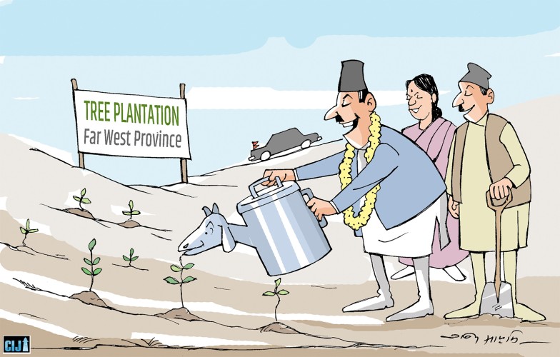 Afforestation in Sudurpaschim: Millions Planted, Almost None Protected