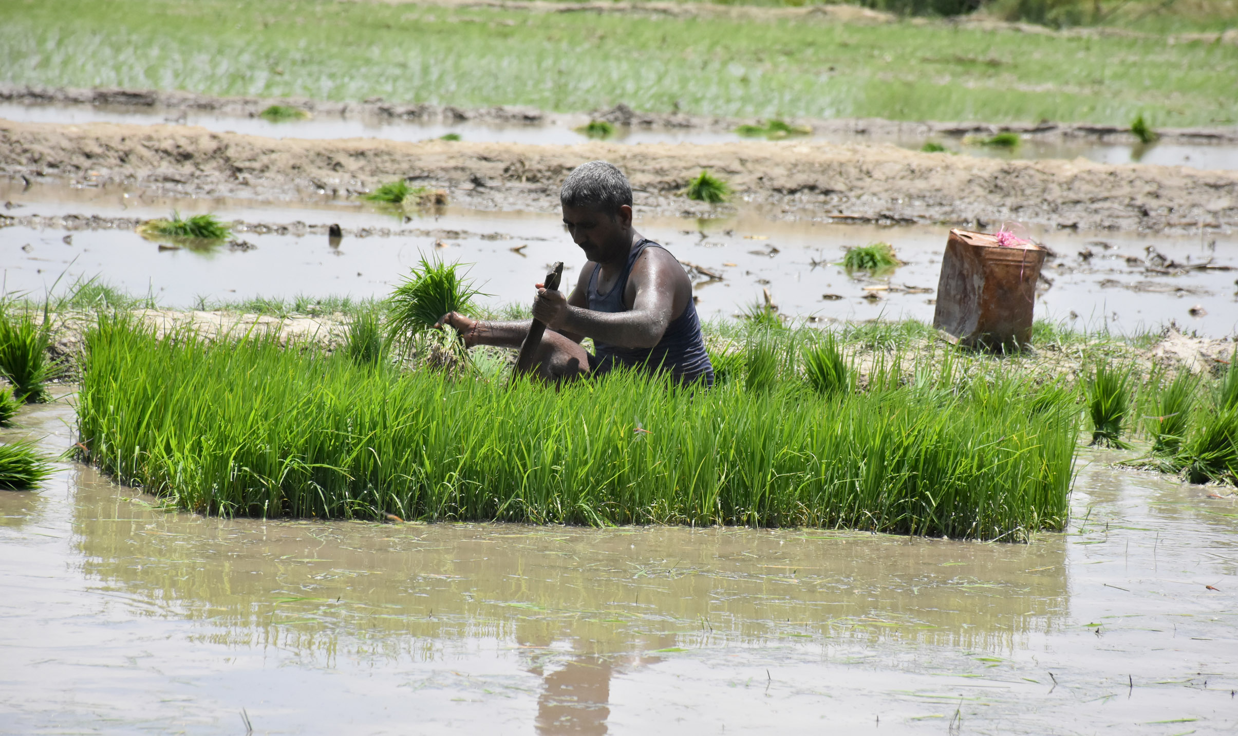 Climate Change Deepens the Crisis in Madhesh