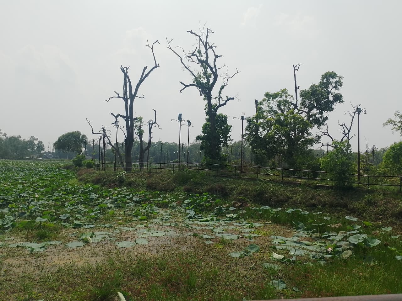 जाखोरताल-जहाँ-पर्यटकीय-स्थल-बनाउने-भन्दै--सोलार-बत्ती-जडान-गरिएको-छ-।-1788245716-1789542592.jpg