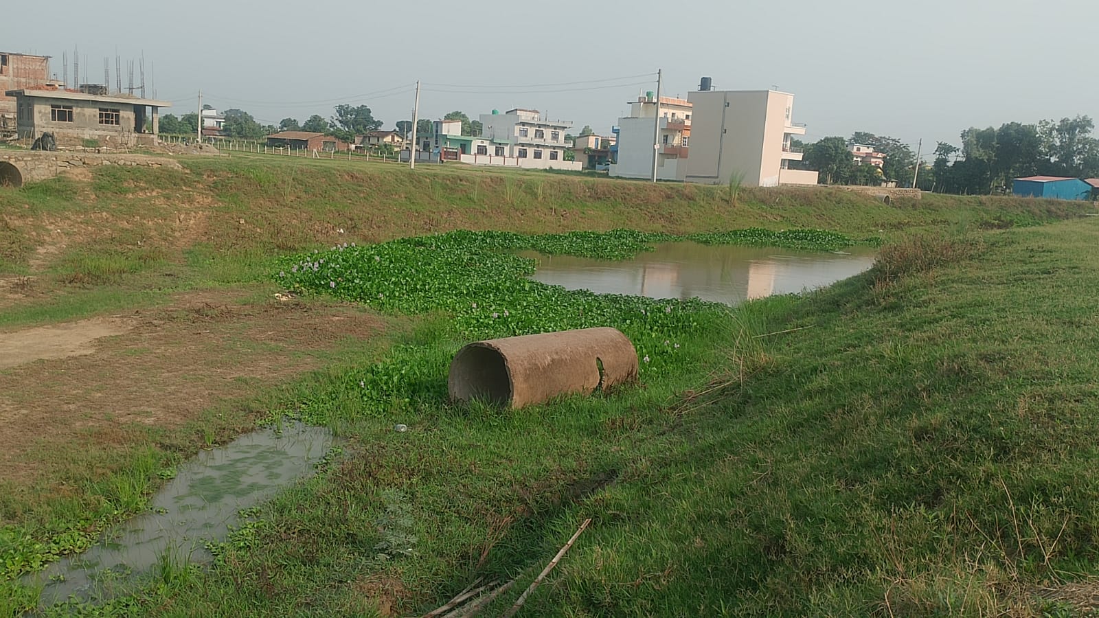 नेतुवा-ताल-1788245253-1789542641.jpg