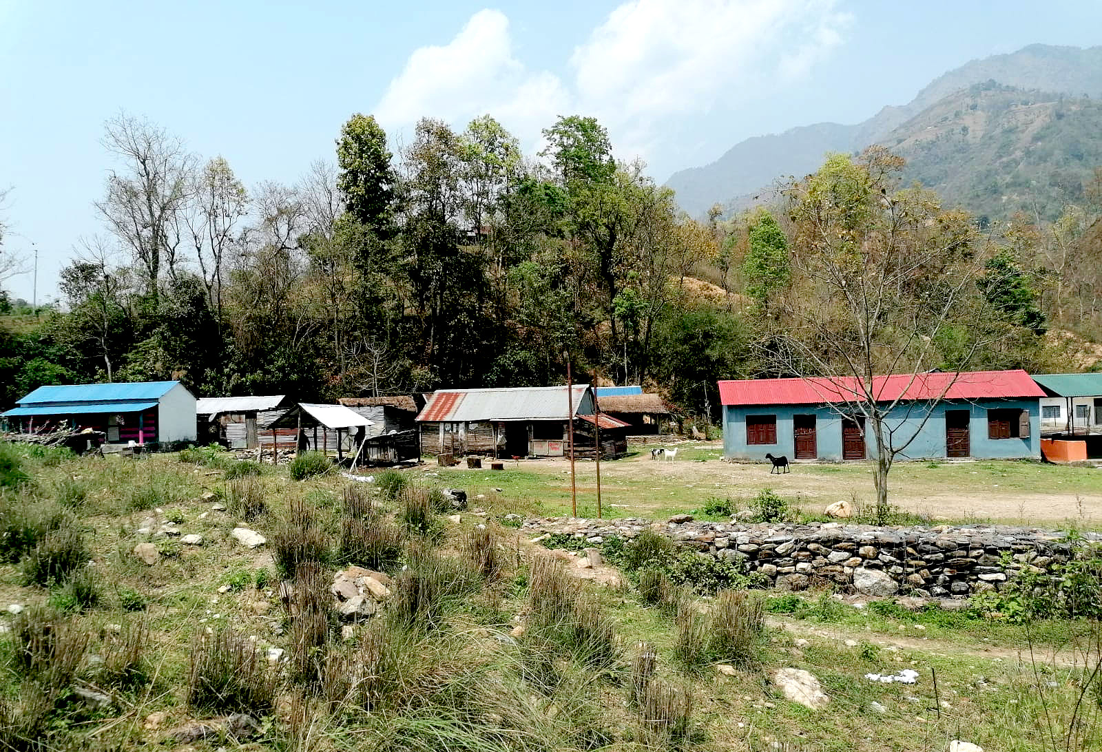 ८-राक्सिराङ्,-देविटार-गाउँ-1782900286-1784018403.jpg